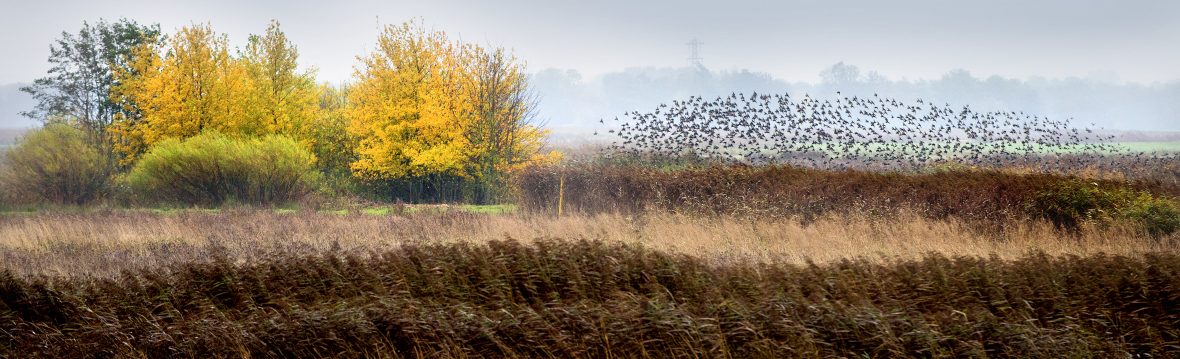 Kans op natuurbrand beperken: rook- en stookverbod